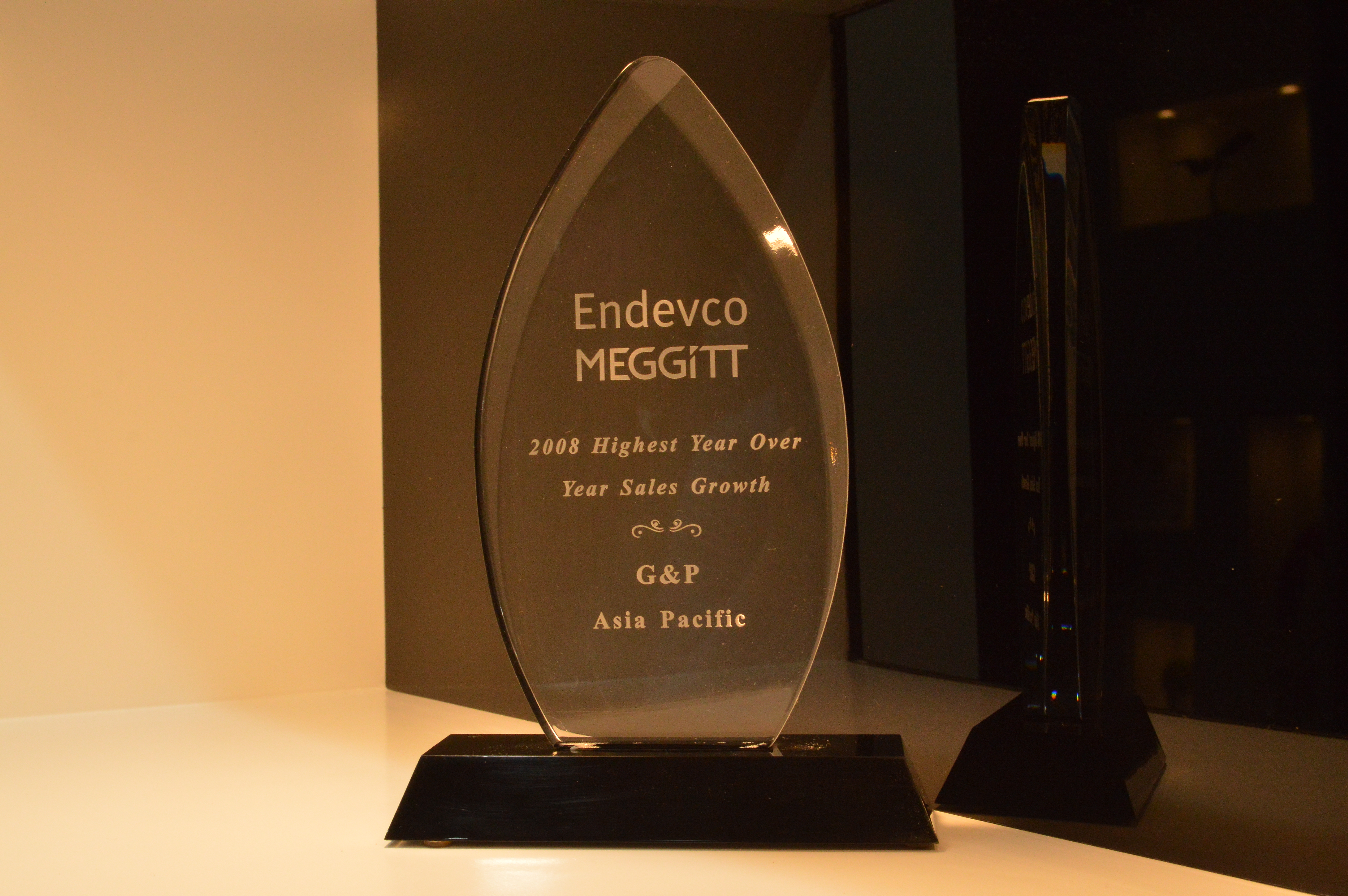 Meggitt 2008 Highest Year Over Year Sales Growth